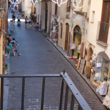 Strelitzia * Cefalù