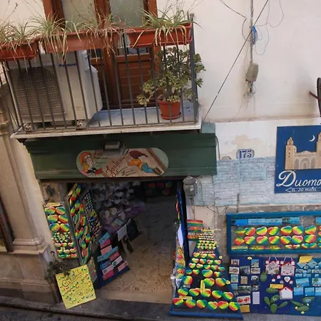 Apartment Strelitzia